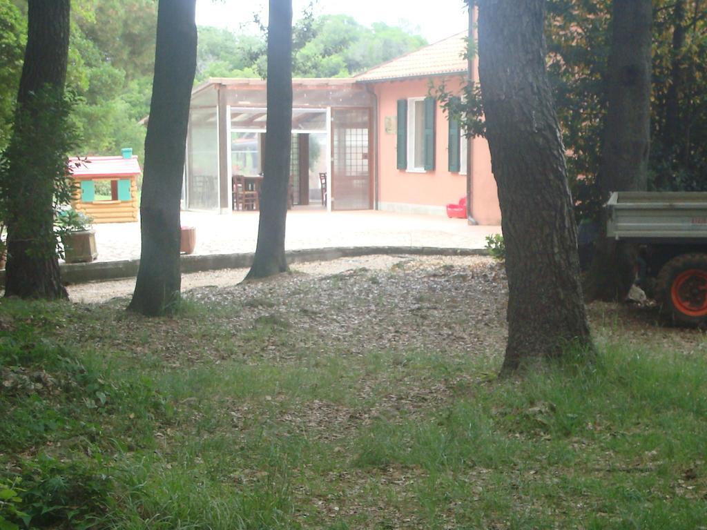 Bed and Breakfast Agriturismo "La Rosa Canina" Lerici Exteriér fotografie