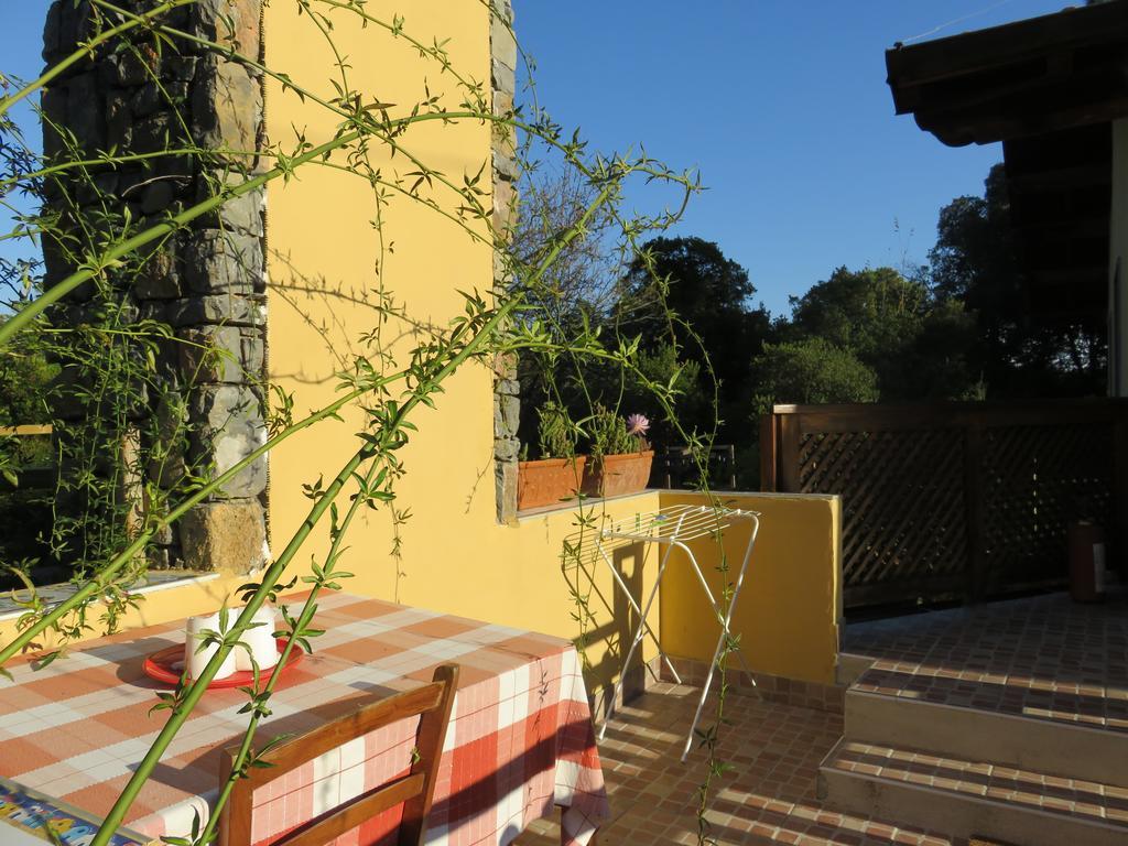 Bed and Breakfast Agriturismo "La Rosa Canina" Lerici Exteriér fotografie